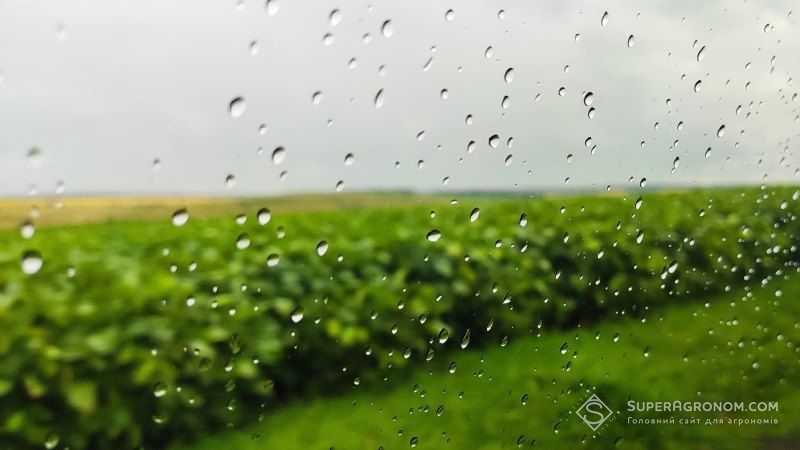 Травневі дощі сприяли припиненню явищ атмосферної та ґрунтової посухи на Донеччині