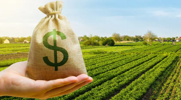 62 тыс. га из тени - в легальное пользование: итоги года