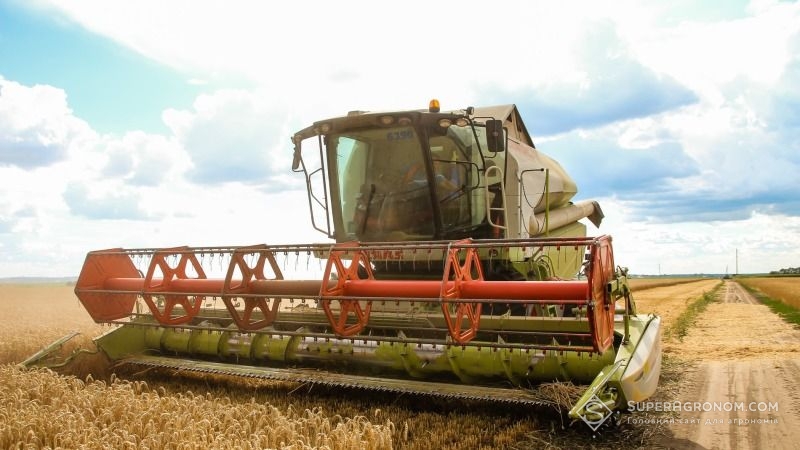 На Полтавщині зафіксовано приріст середньої врожайності ранніх зернових