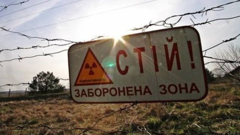 На землях Чорнобильської зони нелегально вирощують сільгоспкультури