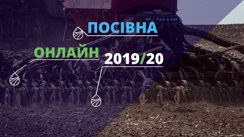 Озимими в Україні засіяно практично 5 млн га площ