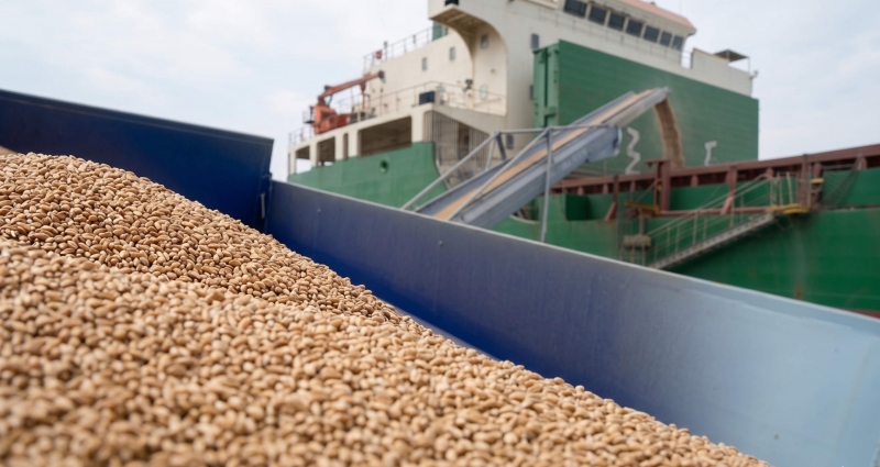 Agromino продает терминал Черномор /></p>
<p><strong><em>42 тыс. га земельного банка. Собственный портовый терминал переваливший 400+ тыс. т за сезон. Казалось бы, идеальная вертикальная интеграция. Но новый CEO Agromino решила по другому: терминал выставляется на продажу. Нет, потому что убыточный — а, потому что капитал нужен где угодно. Это новый подход к управлению активами в украинском агробизнесе.</em></strong></p>
<p style=