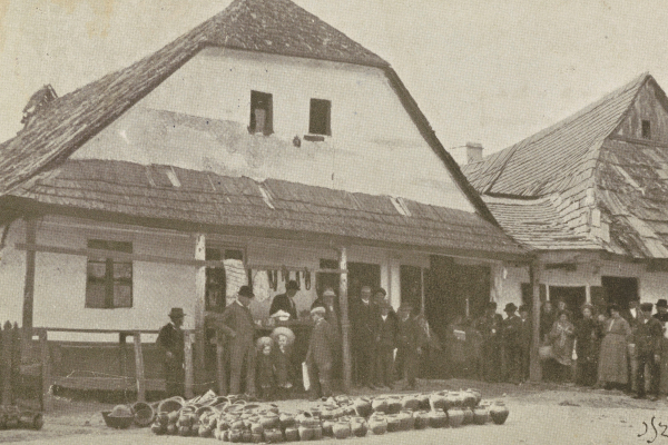 Архитектура поселка Толстое на фото 1900-х годов