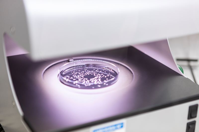 Биологические инновации в защите зерновых и полевых культур