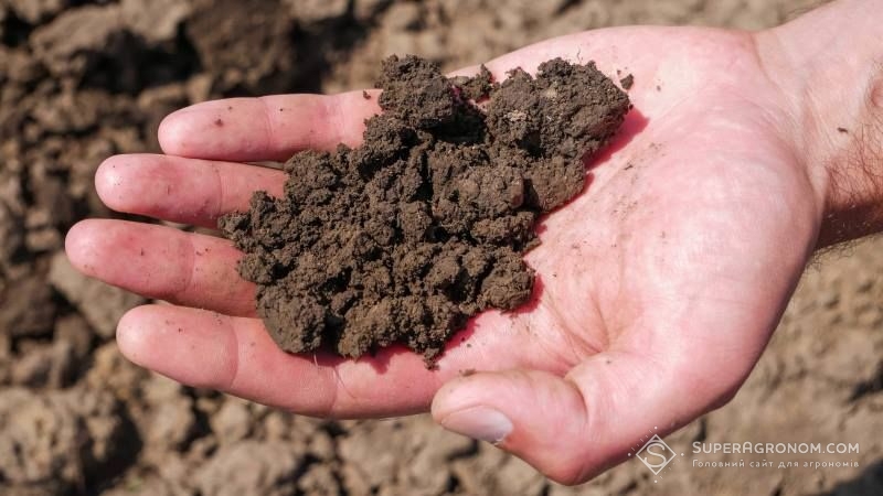Названо ключові чинники посилення деградаційних процесів ґрунтів