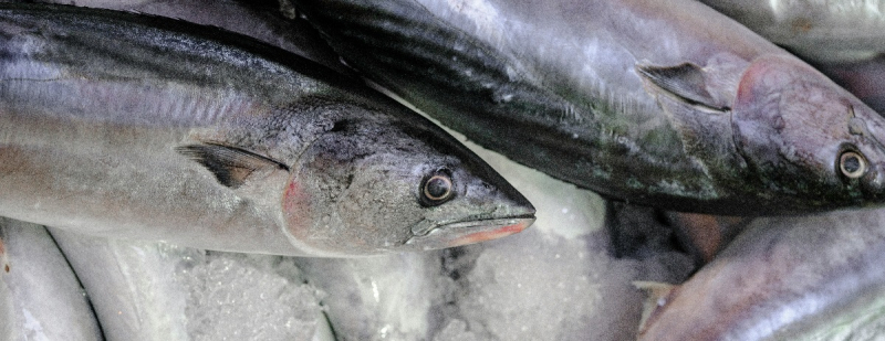 Цена замороженной рыбы подскочила