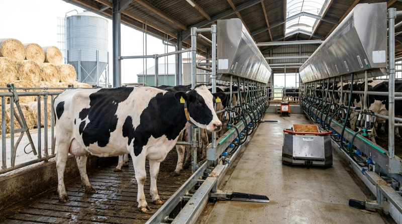 Цены на молоко упали до 14 грн