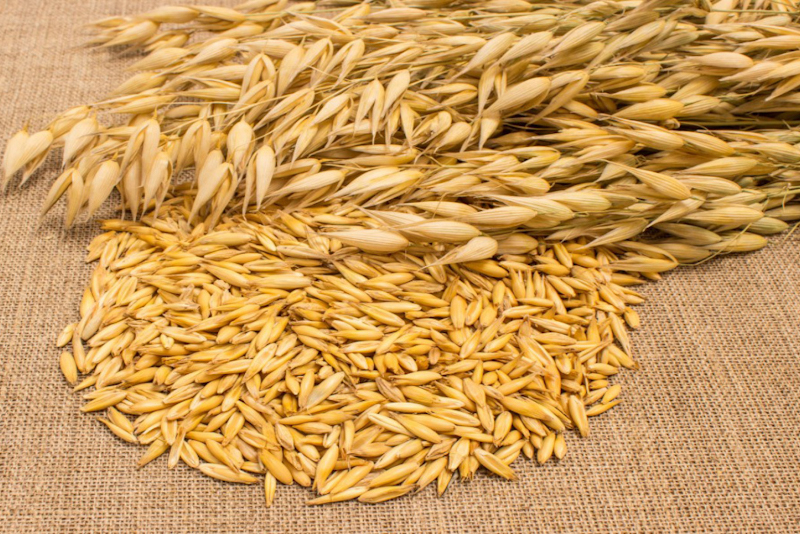 Цены на зерно и растительные масла достигли исторического максимума
