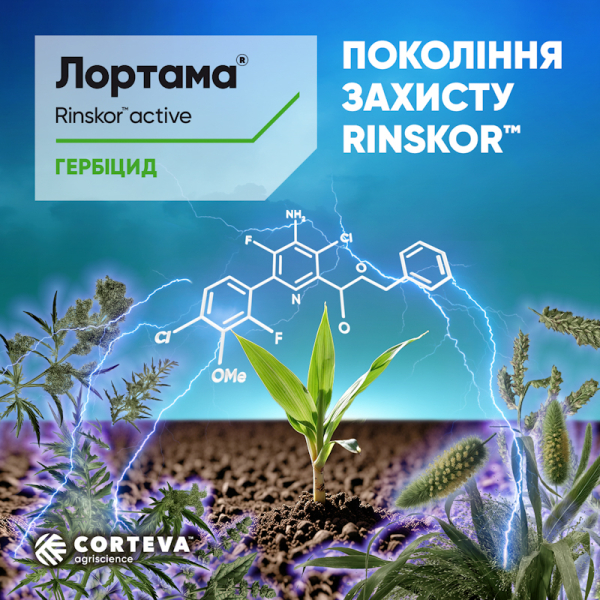 Corteva Agriscience представляет новый послелестничный гербицид Лортама® кукурузы