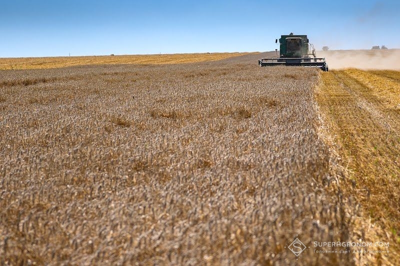 На Полтавщині закінчили збирати ранні зернові та зернобобові культури з середньою врожайністю 4,7 т/га