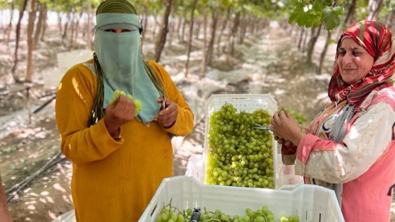 Эксперт объяснил, как дешевая рабочая сила может разрушить экономику страны