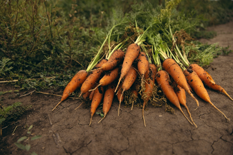 домохозяйств