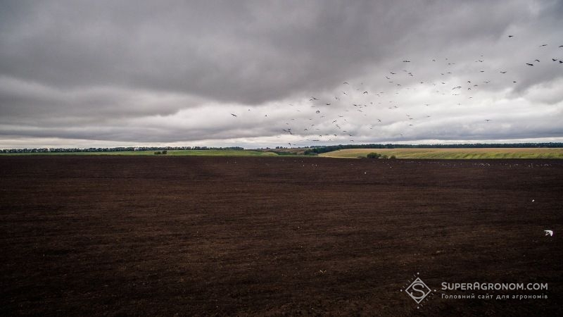 За роки незалежності Україна втратила мільйони гектарів дренажних земель