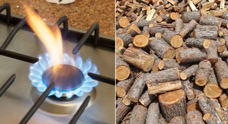 Газ или дрова: назван способ отопления, который сэкономит тысячи гривен