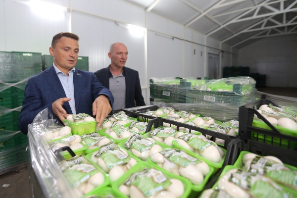 Председатель Тернопольского областного совета Михаил Головко посетил крупнейшую ферму шампиньонов Тернопольщины Fungi Farm
