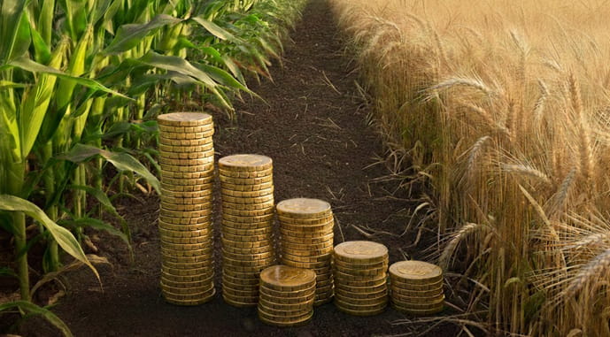 Волна банкротств: аграрный сектор — вторая среди отраслей Украины