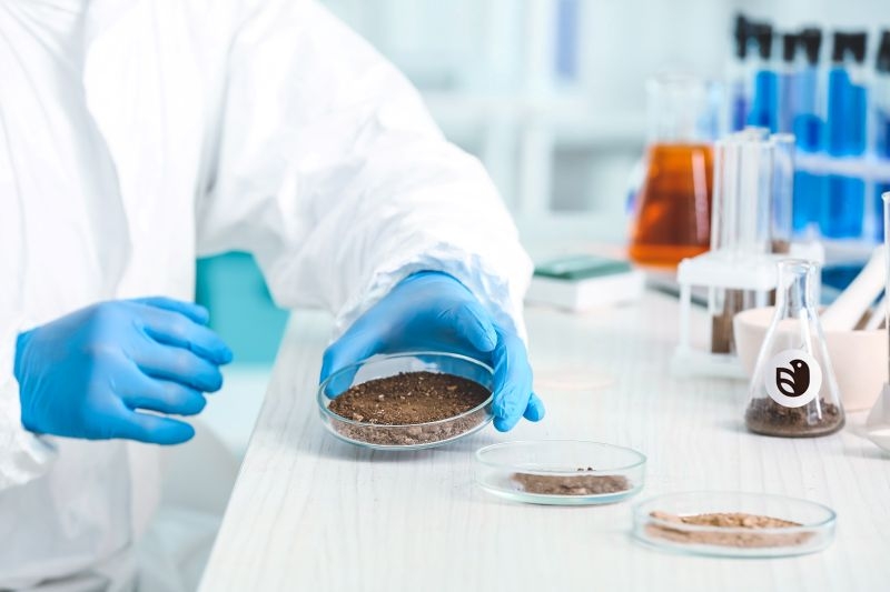 Как влияют на растения метаболиты пестицидов?