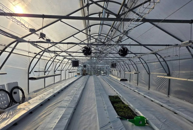 Японские технологии выращивания тепличных овощей внедряются в Украине