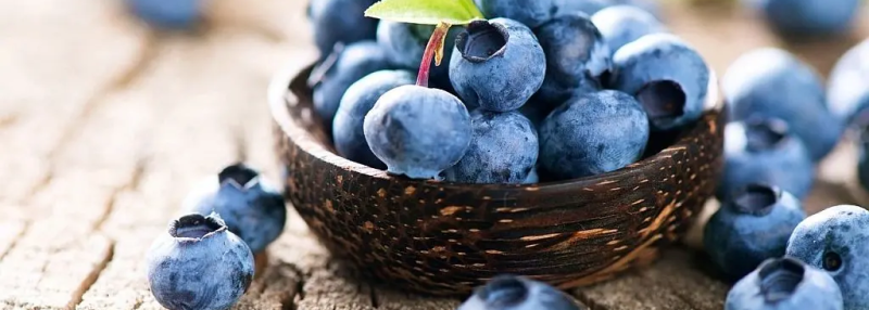 Черника в опасности: сезон начался с тревожных сигналов