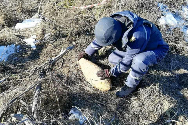 Почти три десятка взрывоопасных предметов нашли в лесу в Тернопольской области