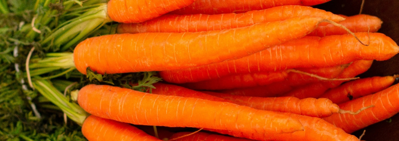 Морковь дорожает с каждым днем: кто виноват и когда ценники прекратятся?