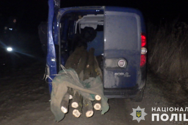 На Чортковщине задержали мужчину, который срубил деревья в «Днестровском каньоне»