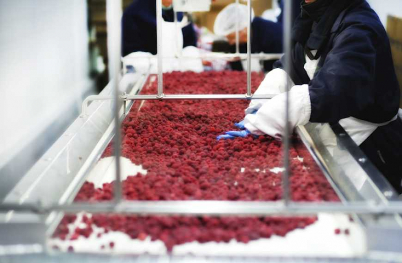 Во Львовской области строят завод с переработки фруктово-ягодной продукции