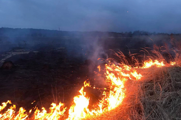 На Тернопольщине горела сухая трава и мусор: огонь охватил почти два гектара площади