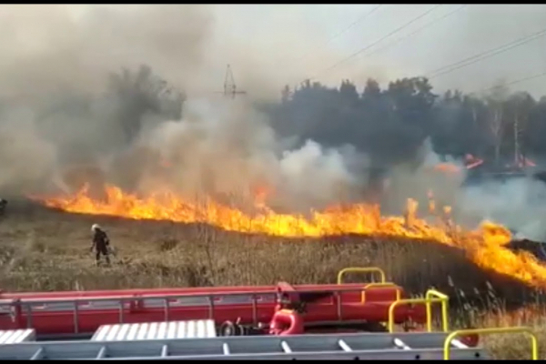 На Тернопольщине горело 4 гектара поля
