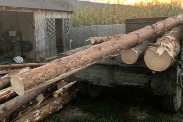 На Тернопольщине полицейские остановили трактор с вырубленными в заповеднике древесиной