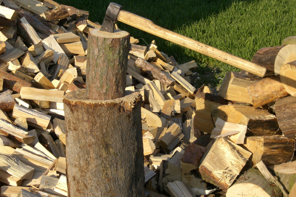 На Тернопольщине мошенники выманивают средства под предлогом продажи дров