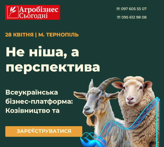 &laquo;Не ниша, а перспектива Всеукраинской бизнес-платформы