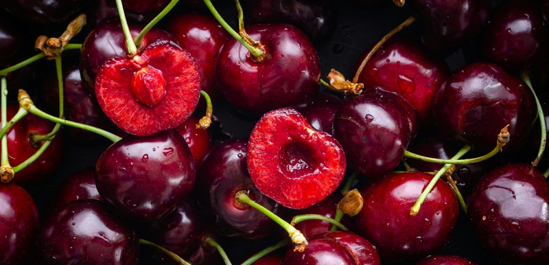 New «golden vein»: why growing cherries in Ukraine has become super profitable
