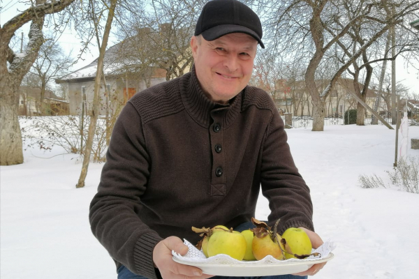 Один из древнейших украинских сортов яблок в Теребовле, что на Тернополье