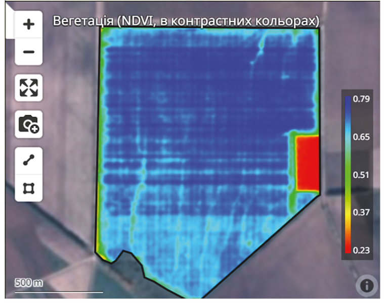 Особенности развития гибридов рапса озимой компании «