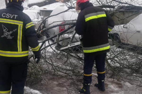 Во время непогоды в Тернополе дерево упало на автомобиль