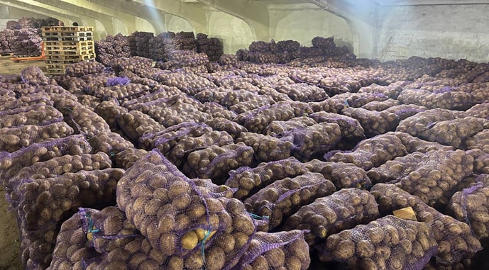 Польша рекордно наводнила украинский рынок картофелем