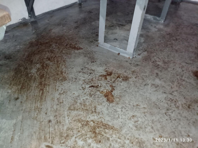 Потирали говно веником по полу: как после эксперимента убирали укрытие в Тернополе