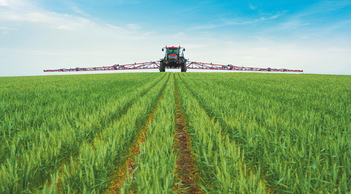 Посев озимых практически завершен