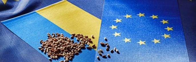 &quot;ЕС и Украина могут обеспечить треть мирового рынка пшеницы&quot; - Андрей Дикун