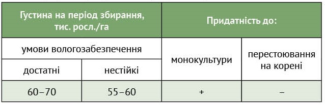 Результаты урожайности новых гибридов Сингента» 2024 года