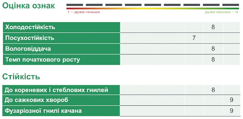 Результаты урожайности новых гибридов Сингента» 2024 года