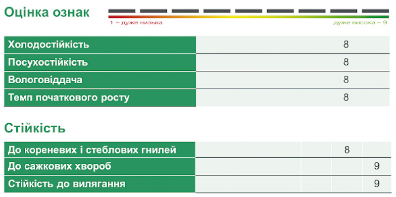 Результаты урожайности новых гибридов кукурузы компании «Сингента& </p>
</p>
<p><strong>Основные характеристики:</strong></p>
<p style=