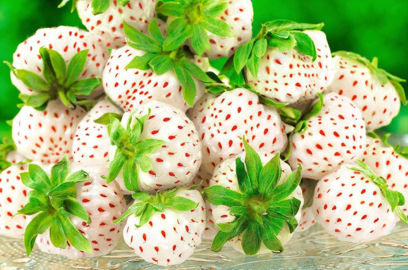 Садовник рассказал, какие сорта клубники сейчас в тренде