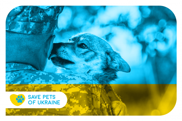 Save Pets of Ukraine: стартовала инициатива по помощи четырехлапым во время войны