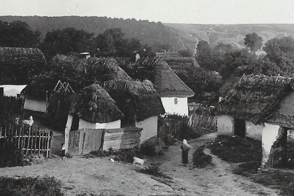 Деревня Плебановка на ретро фото 