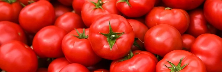 Помидоры сею осенью в мерзлую землю – а весной они всходят сами