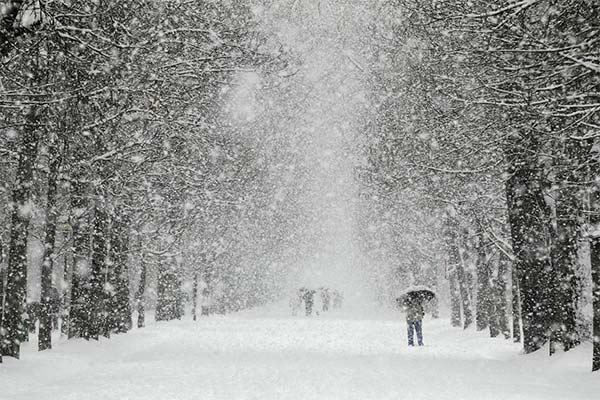 Снегопад будет накрывать Украину каждый день и будут морозы: синоптики предупреждают украинцев