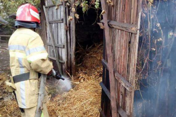 Трагедия на Чертковщине: заживо сгорела женщина