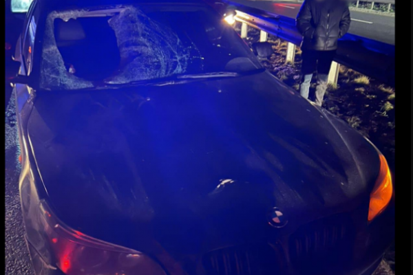 В Березовице водитель на BMW сбил насмерть 36-летнего пешехода